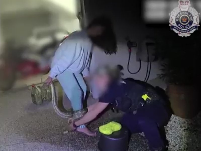 Python coiled around women's leg