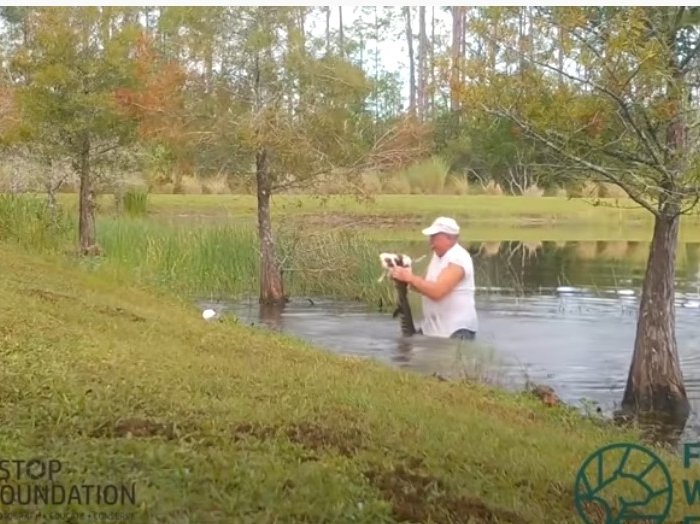 Man wrestles alligator