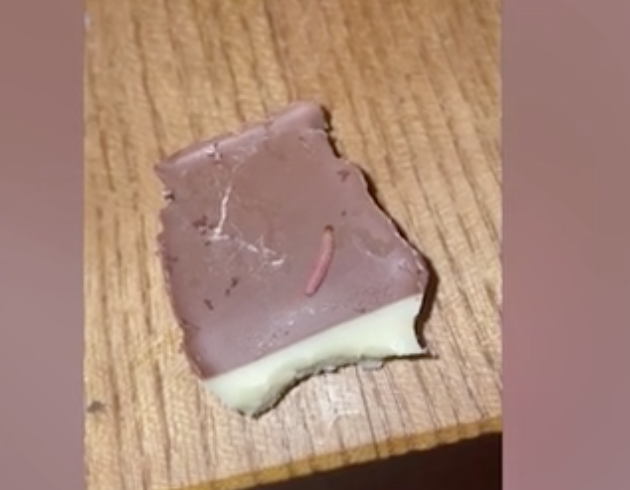 Woman Finds Maggots Crawling Inside Wrapped Chocolate 2384