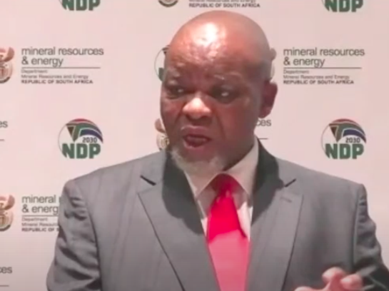 Gwede Mantashe budget vote May 2021 virtual