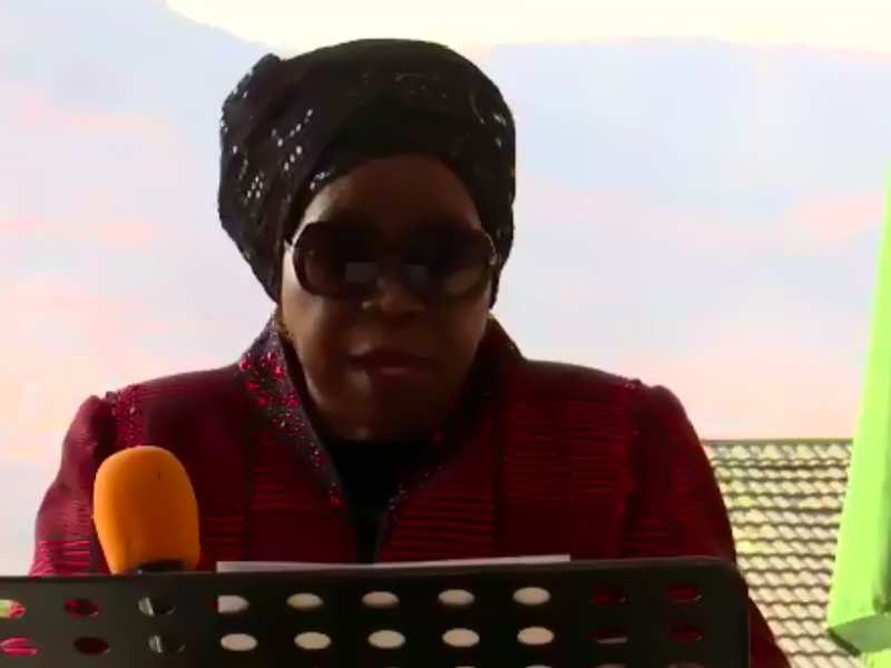 Nkosazana Dlamini-Zuma on October 27 elections (August 2021)