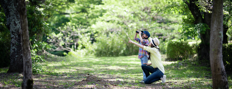 Mother and daughter playing with binoculars in the woods stock photo