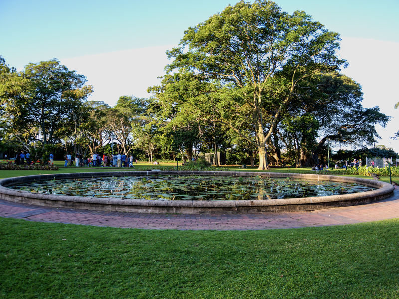 Nature water and trees in durban stock photo