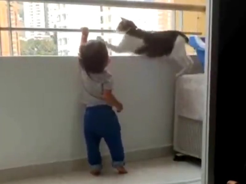 Cat and baby