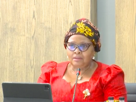Nosiviwe Mapisa-Nqakula at the JSC interviews for Chief Justice February 2022