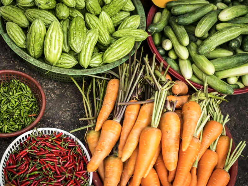 AGRICULTURE FARMING SOUTH AFRICA