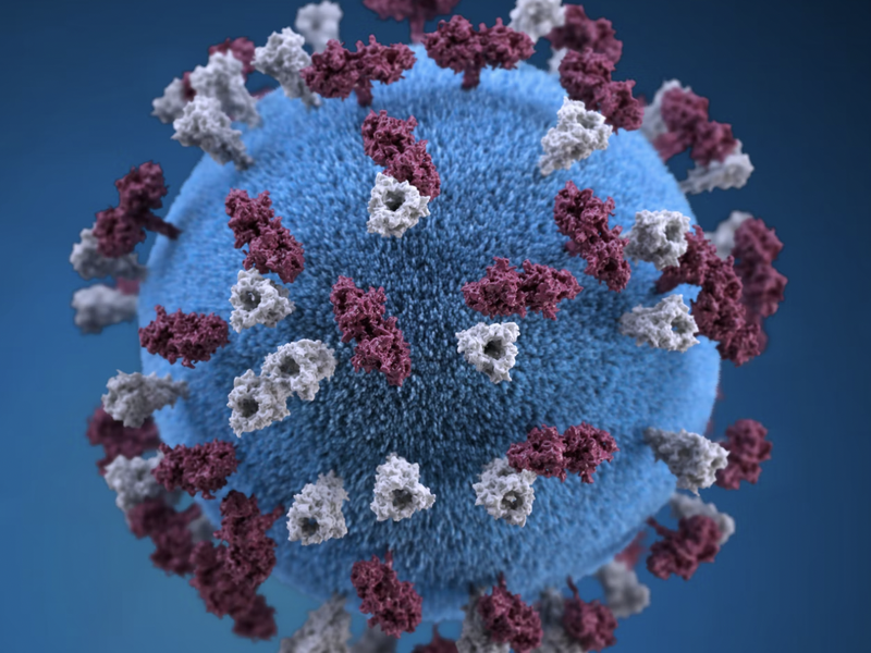 MEASLES