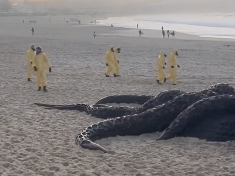 WATCH: Disturbing giant octopus washes up on the beach