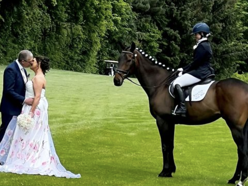 Horse is the best man at a wedding