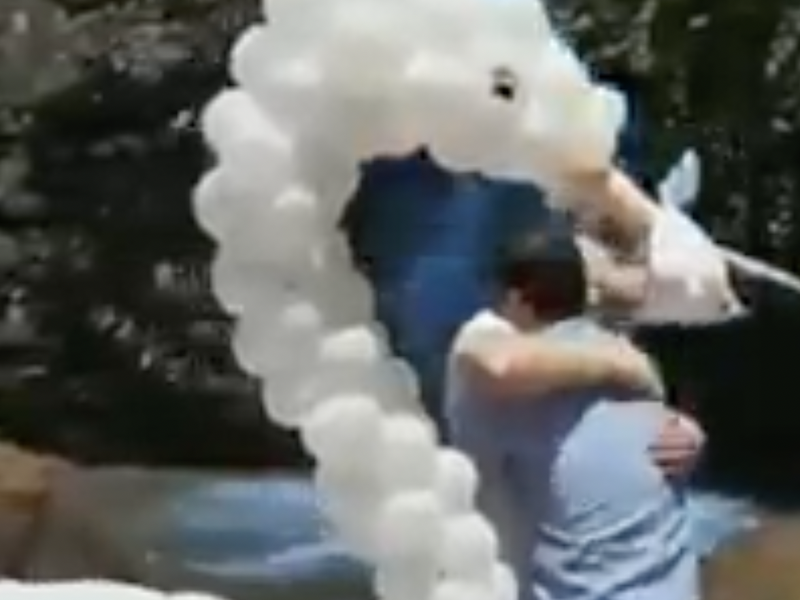 GENDER REVEAL BRAZIL