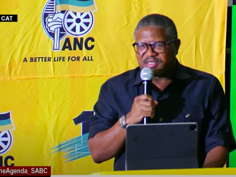 Fikile Mbalula
