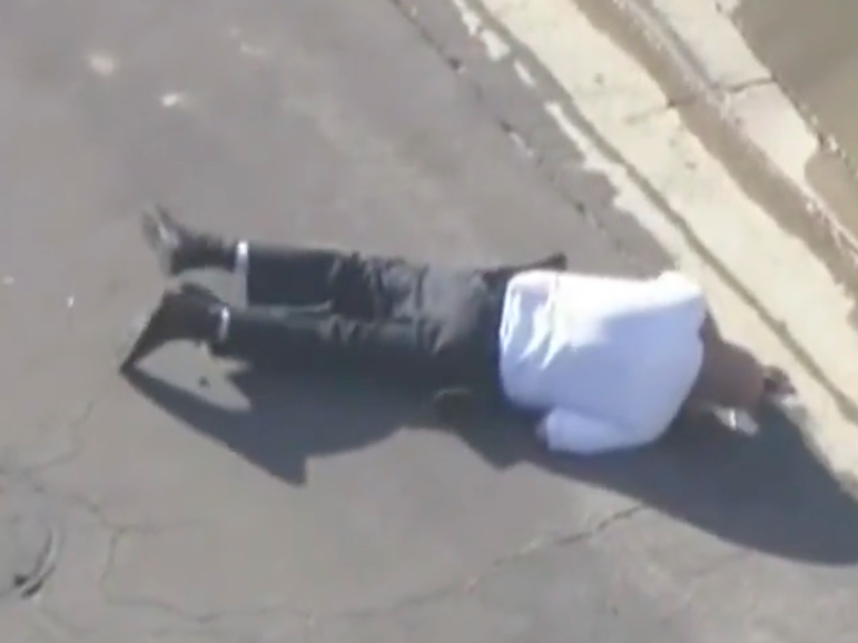 Police officer attacked by bees