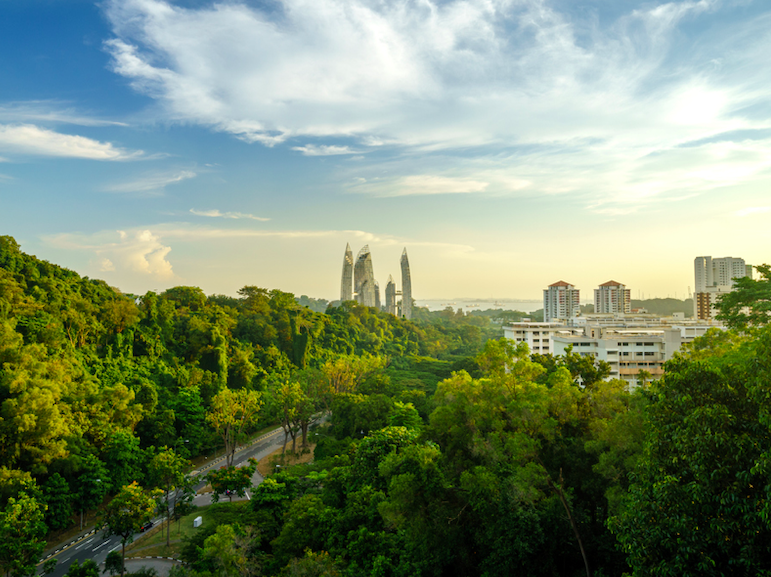 Urban Jungle