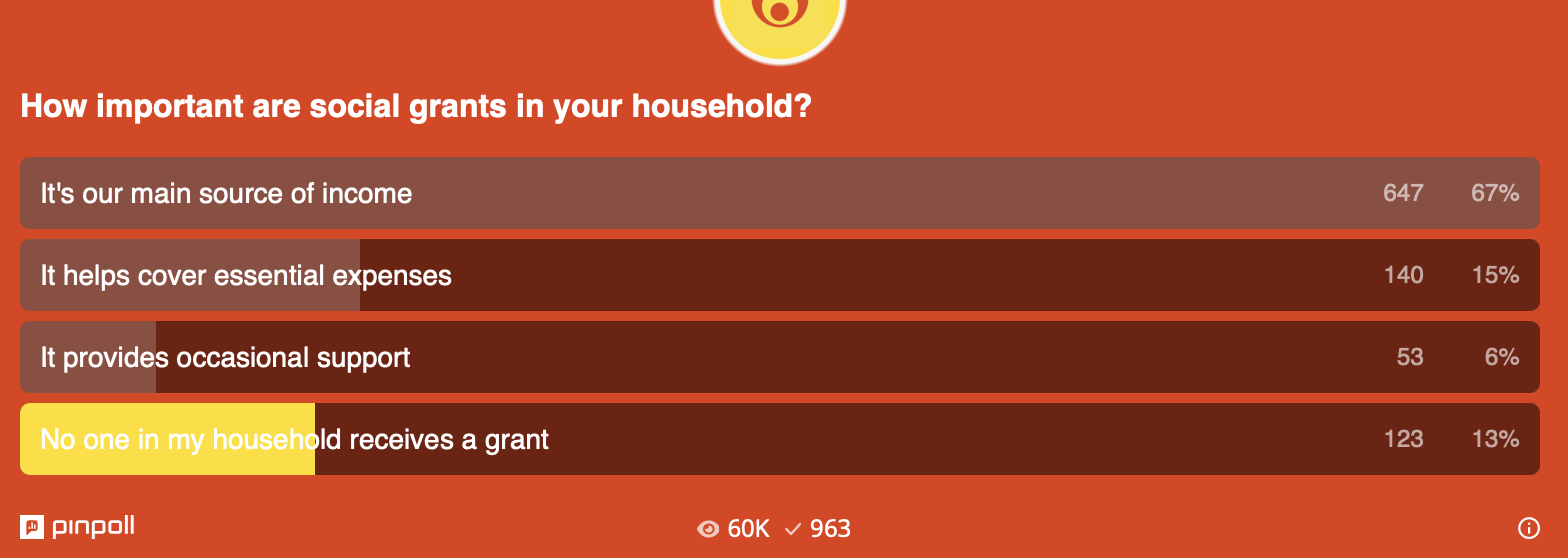 ECR SASSA poll