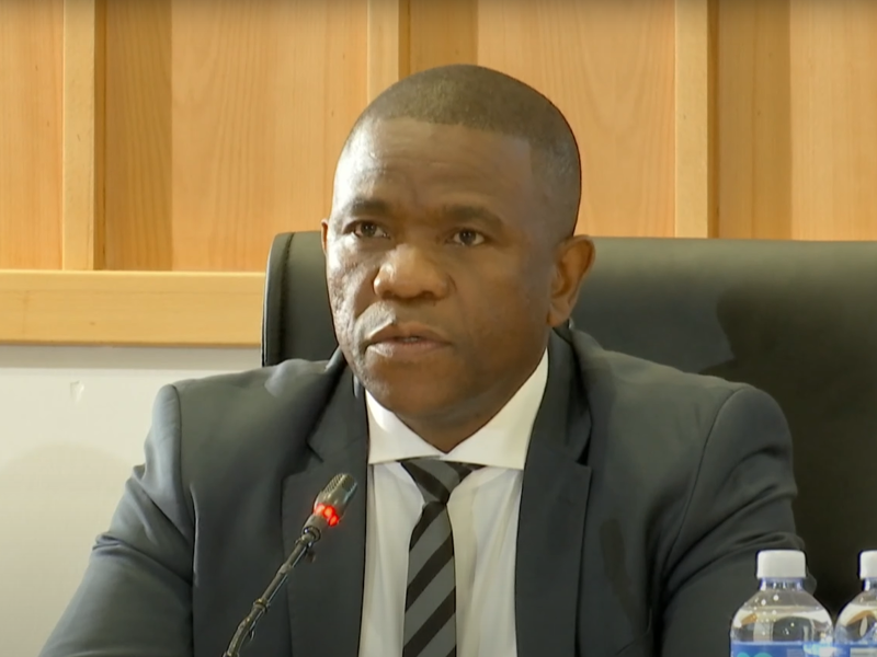 KwaZulu-Natal Nhlanhla Mkhwanazi at Madlanga Commission
