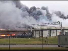 Arson suspected in massive Denny mushrooms fire