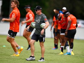Sharks team training