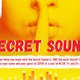 secret sound - new