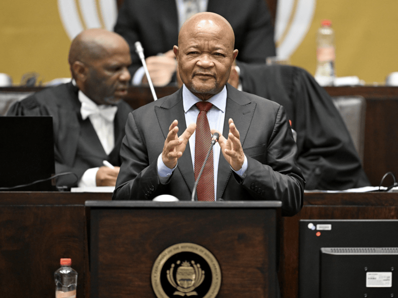 Police Minister Senzo Mchunu in National Assembly