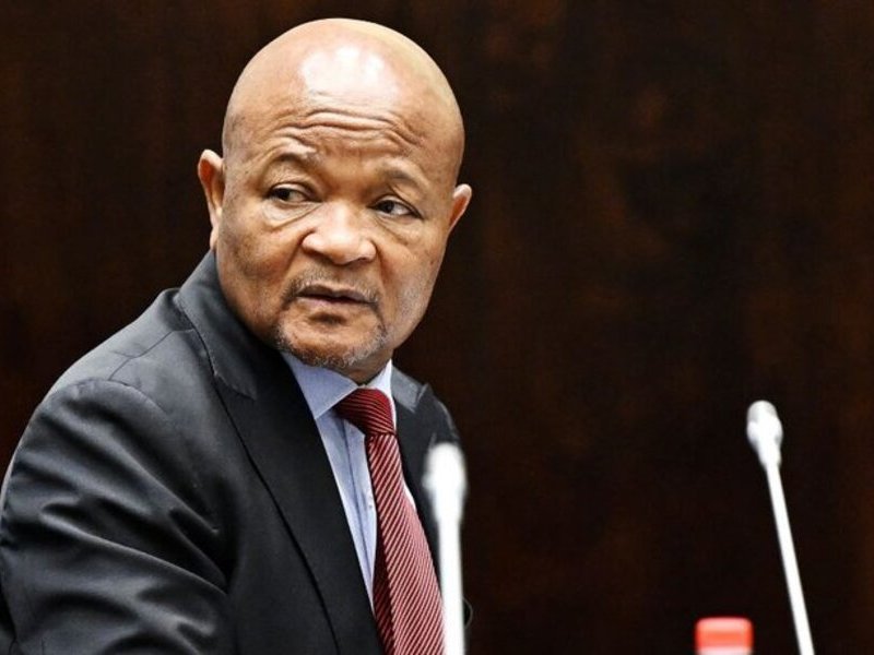 Senzo Mchunu Charges
