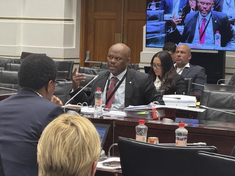 Shadrack Sibiya in Parliament