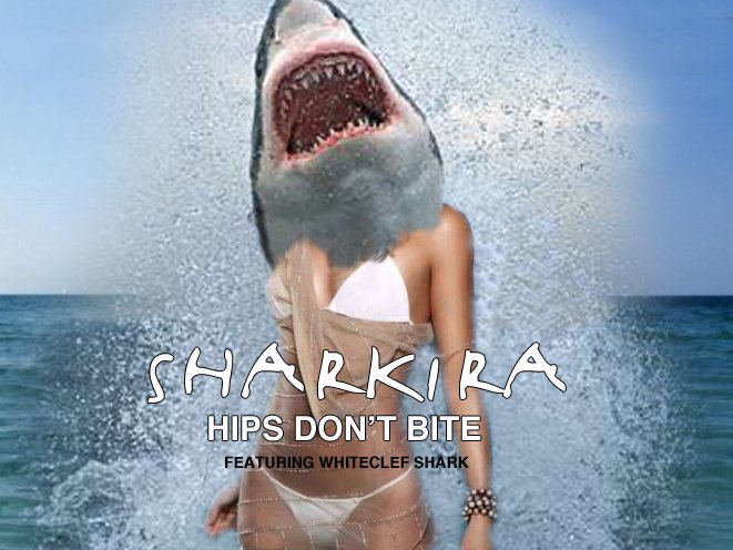 shark ira
