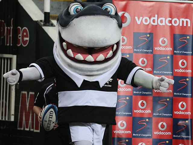 Sharkie_Gallo.jpg