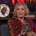 Sharon Stone and rapper Nelly