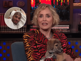 Sharon Stone and rapper Nelly