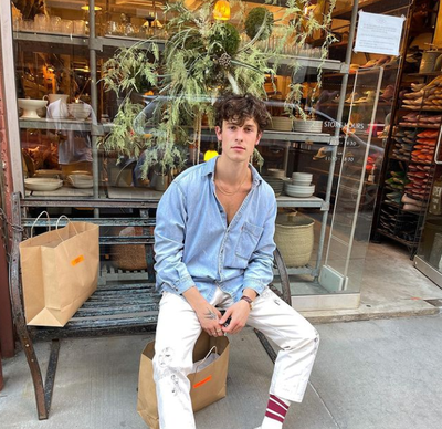 Shawn Mendes postpones world tour due to mental health issues - Vimarsana News