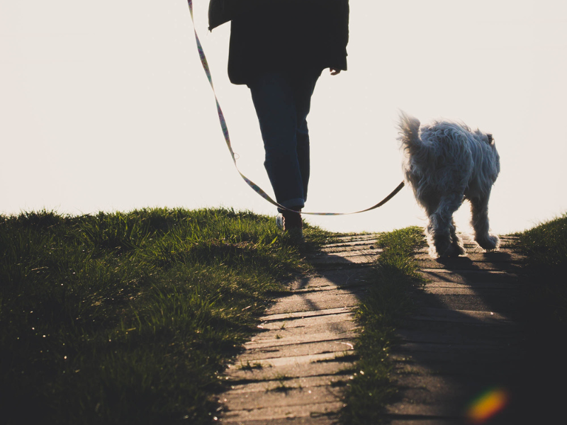 Silhouette of a woman walking her dog on uphill pathway