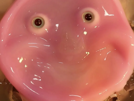 Smiling robot