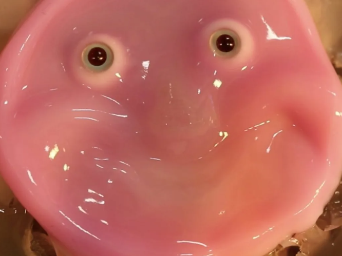 Smiling robot