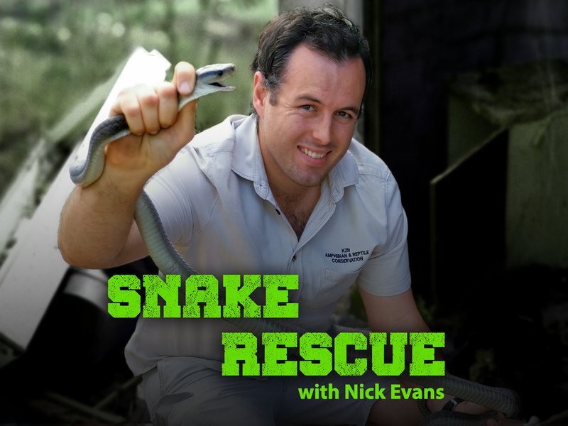 Snake Rescue with Nick Evans