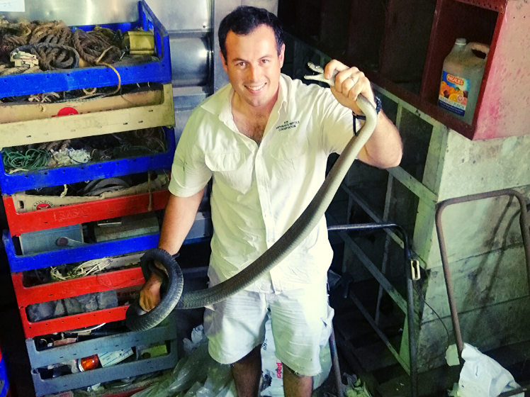 snake rescue