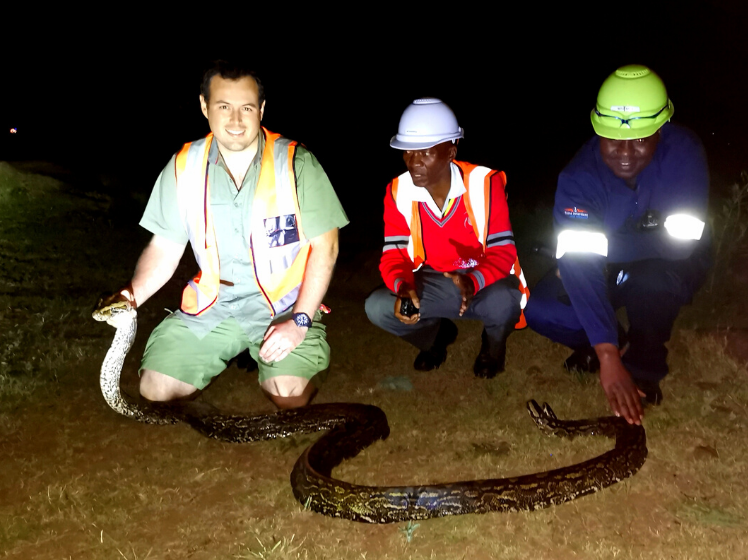 A python call at 2am!