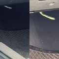 Snake in the car