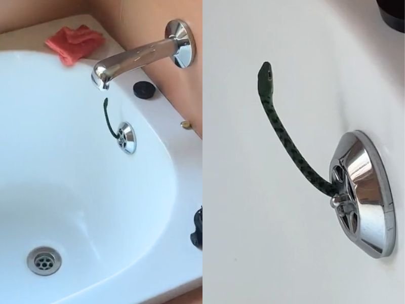 Screenshot of video showing snake in tub