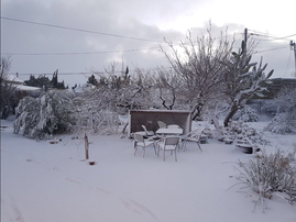 Snow 3