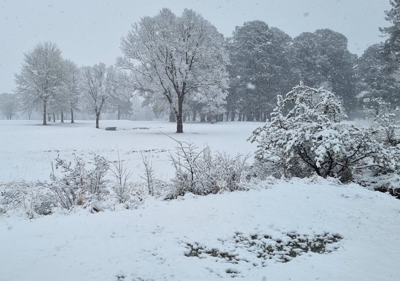 Snowfall in Fairways 3