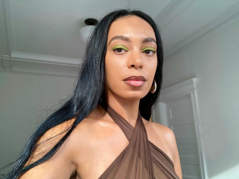 Solange Knowles wearing a brown top