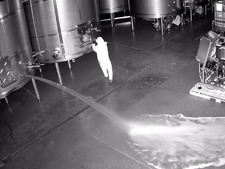 Intruder at Spain winery pours away wine worth $2.7 mn