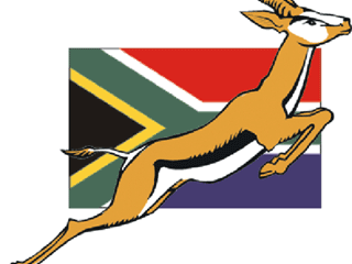 Springbok_Logo.gif