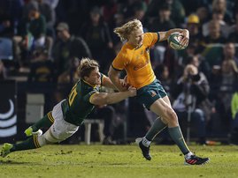 Springbok No 8 Evan Roos