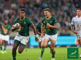 Springboks Wallabies