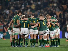 Springboks at FNB Stadium