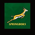 Springbok logo