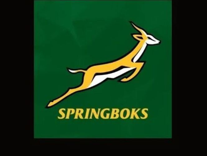 SA Rugby responds to Milnerton High School's viral assault video