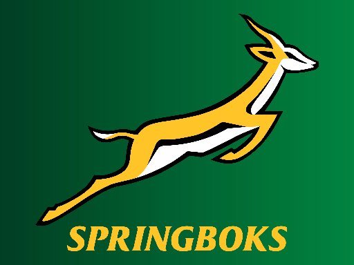 Confident Springboks put Wallabies to the test