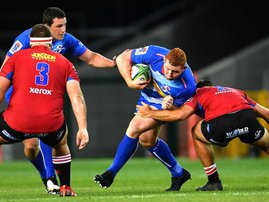 Stormers vs Lions 17 October 2020